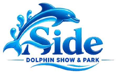 Side Dolphin Park & Show