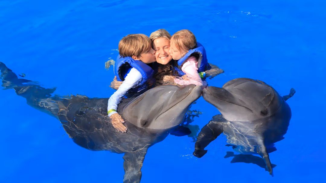 Swimming with Dolphins in Antalya | Both Way Transfer is Included