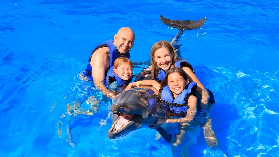 Swimming with Dolphins in Antalya | Both Way Transfer is Included