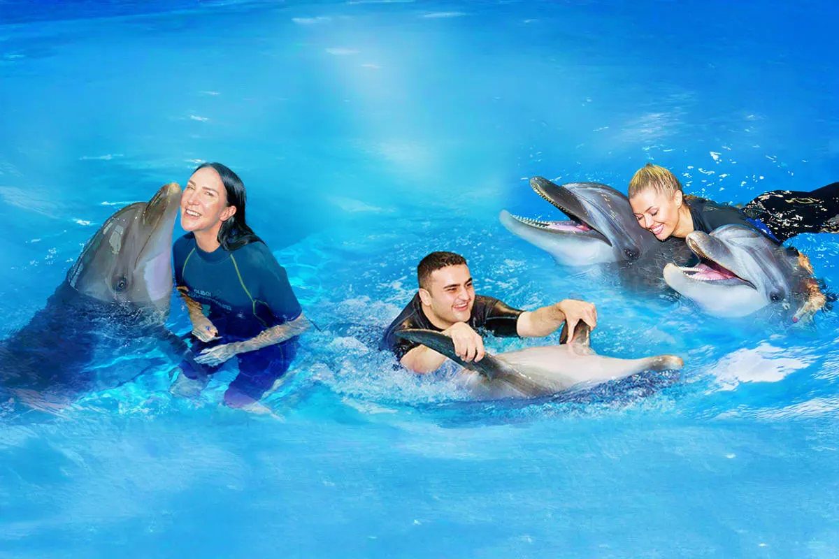 Side Dolphin Show & Dolphin Swim Experience | Both way transfer is included